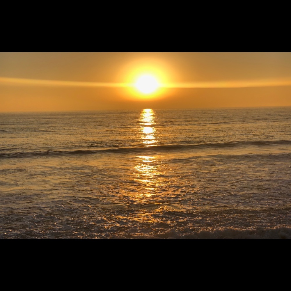 Meet your Posher, Griselda